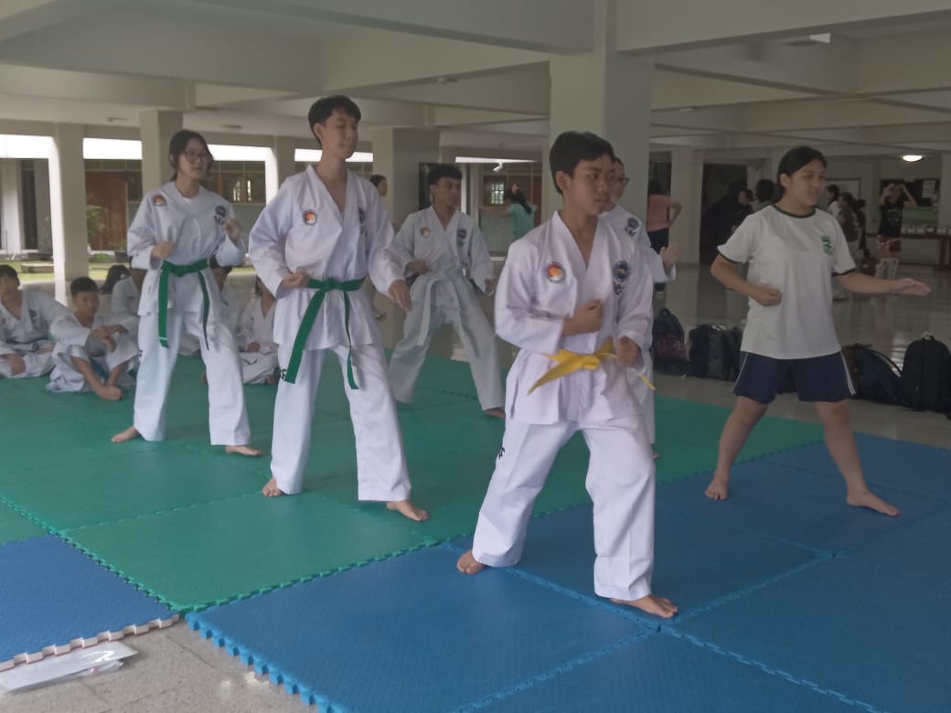 TAEKWONDO