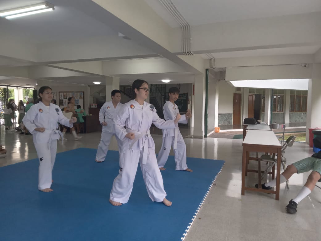 TAEKWONDO
