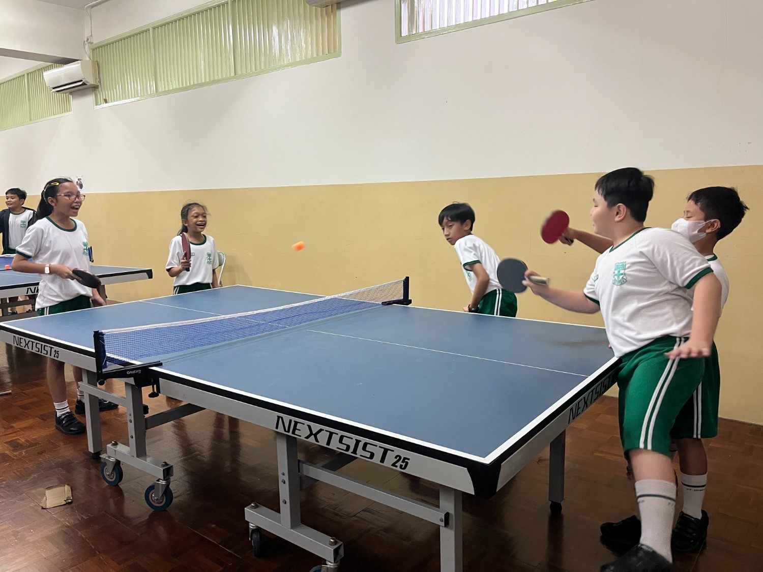 TENIS MEJA