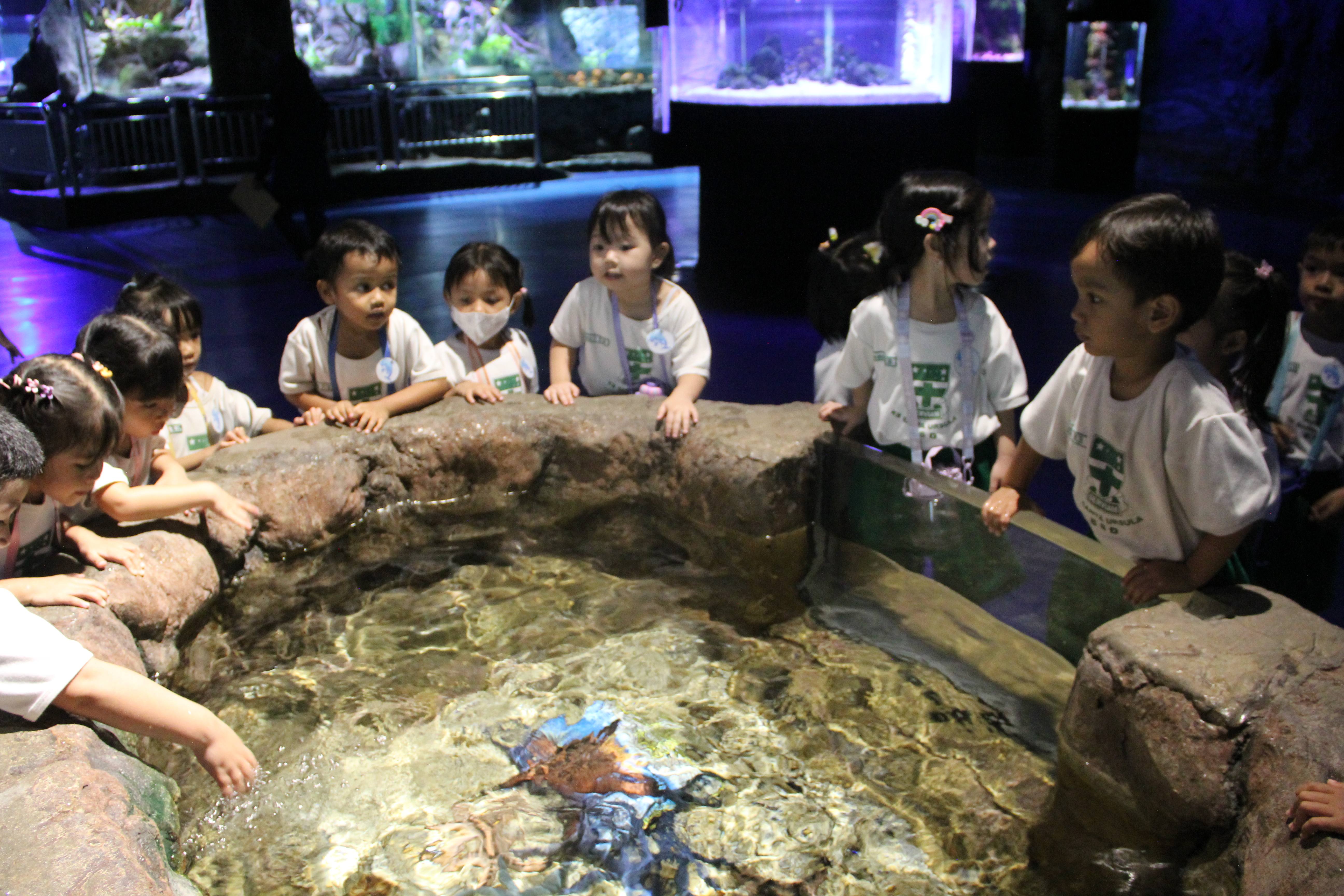 Rekreasi ke Sea World